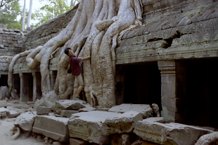 AR[bg ^v[ J{WA Angkolwat TaProhm SiemReap Cambodia 2004N