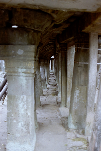 AR[bg ^v[ J{WA Angkolwat TaProhm SiemReap Cambodia 2004N