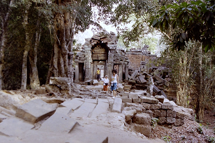 AR[bg ^v[ J{WA Angkolwat TaProhm SiemReap Cambodia 2004N