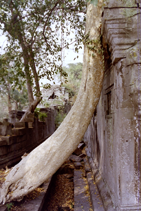 AR[bg xA J{WA Angkolwat BengMealea SiemReap Cambodia 2004N