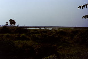 vmy J{WA gTbv 㐶 TonleSap Cambodia 2004N