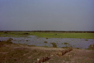 vmy J{WA gTbv 㐶 TonleSap Cambodia 2004N