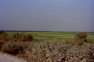 vmy J{WA gTbv 㐶 TonleSap Cambodia 2004N