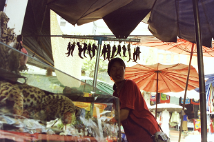 2004N ~}[ ^C Myanmer Thailand Border Tachileik