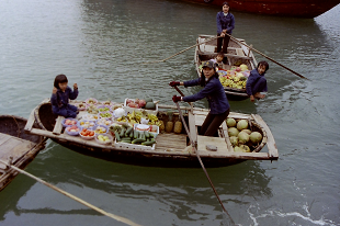 2004N nmC npN[Y Hanoi HaLongBay ̔