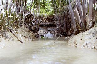 z[`~VeB xgi R Rf^ Rf^cA[ Vietnum HoChiMinhCity ReunificationPalace MekongRiver MekongDelta MekongDeltaTour 2004N