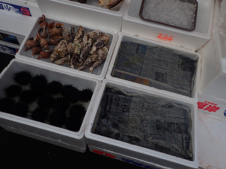 MorningMarket HAKODATE ASAICHI ikura UNI shellfish