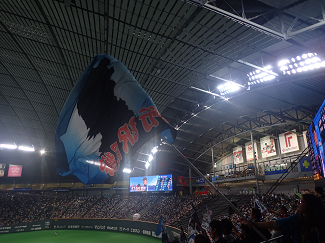 SAPPORO DOME