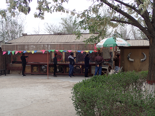  ĉ  YINCHUAN  Western-Xia-mausoleums