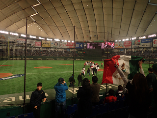 2019N varbv~APQ h[ Rʌ LVRvs{ WBSC ?premium12 TOKYO-DOME MEXICOvsUSA 3rdPlaceDecision