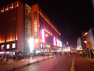 ̉{ Wangfujing Night