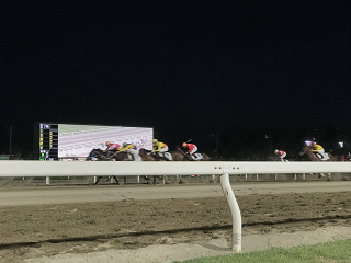 大井競馬場 旅行前に立ち寄る ナイター競馬