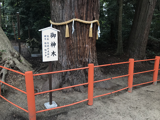 TogokuSanSya KamisuJinja KamisuShirein GOSHINBOKU Tree