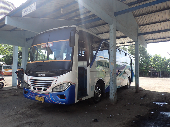 バニュワンギ バスターミナル BANYUWANGI BUS