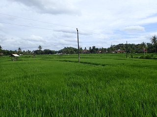 ピンドゥル洞窟 GoaPindur PindurCave インドネシア ジョグジャカルタ Indonesia Yogyakarta