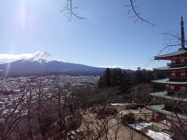 xmRr[X|bg VqRԌ ArakurayamasengenPark Mt.FujiViewSpot ArakurayamasengenPark xmR Mt.FUJI s Rs JapanTravel YamanashiTravel YamanashiTravel FujiyoshidaTravel