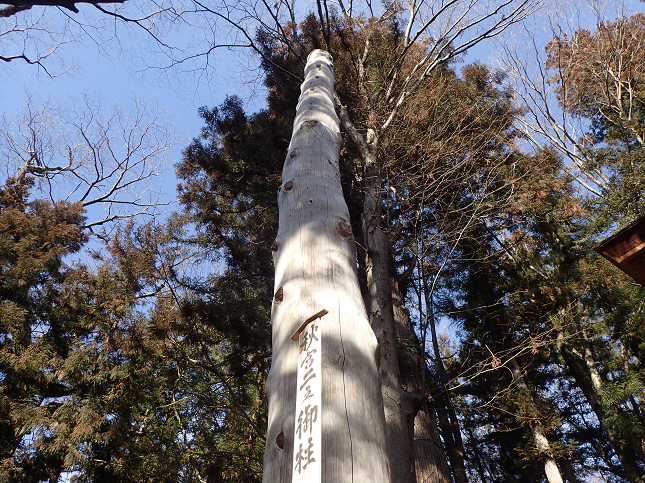 zK zKЉЏH{ 䒌 Rs 쌧s s SuwaTaisyaShrine  SuwaTaisyaShimosyaAkimiyaShrine SuwaTaisyaLowerShrine KosyuKaido JapanTravel YamanashiTravel NaganoTravel