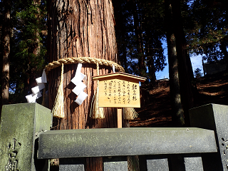 zK zKЉЏt{ 䒌 Rs 쌧s s SuwaTaisyaShrine  SuwaTaisyaShimosyaHarumiyaShrine SuwaTaisyaLowerShrine KosyuKaido JapanTravel YamanashiTravel NaganoTravel