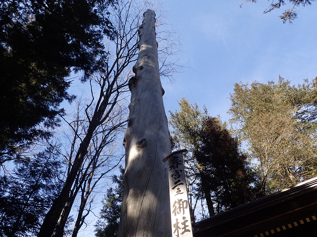 zK zKЉЏt{ 䒌 Rs 쌧s s SuwaTaisyaShrine  SuwaTaisyaShimosyaHarumiyaShrine SuwaTaisyaLowerShrine KosyuKaido JapanTravel YamanashiTravel NaganoTravel