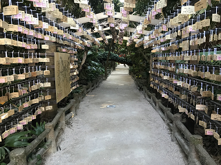 { _ Gn