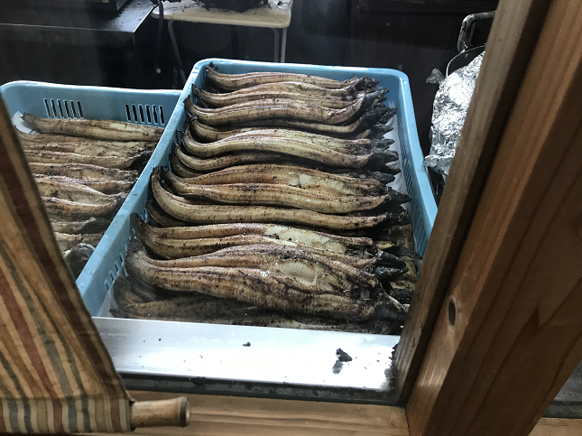 四万十川 うなぎ 天然うなぎ