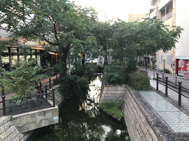 高知 はりまや橋からの眺め