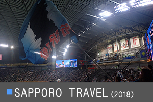 SAPPORO TRAVEL